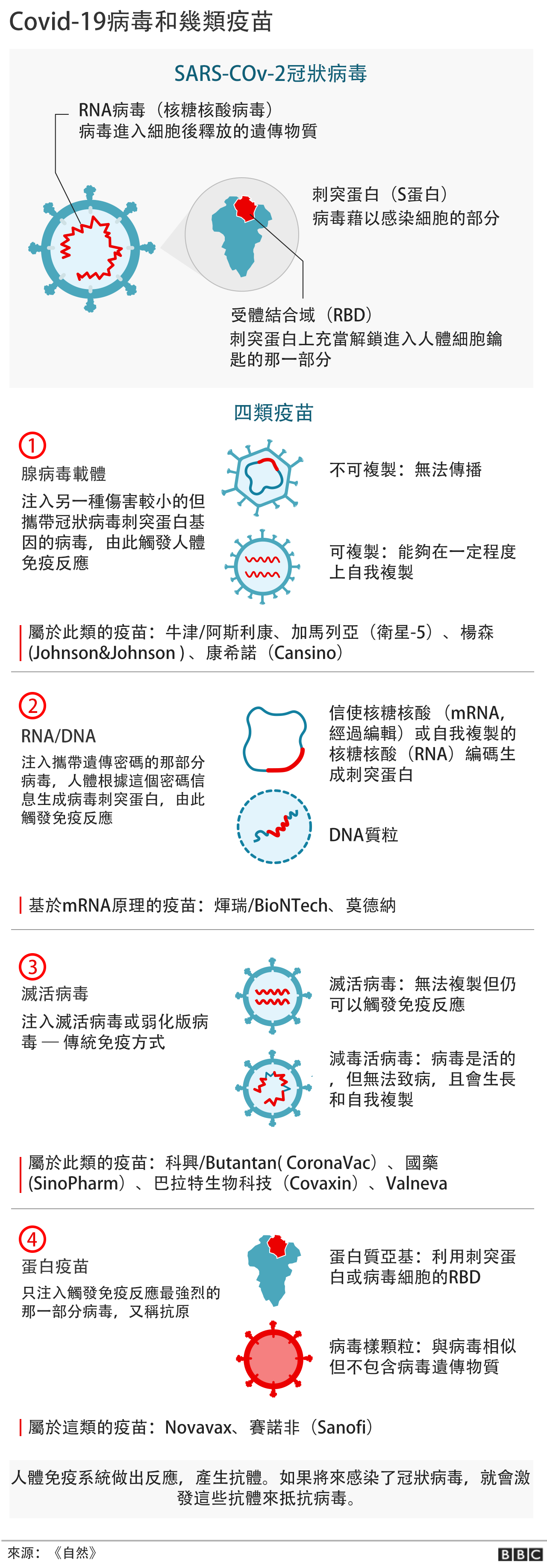 _117756297_vacinnes_all_types_chinese_2x640-nc.png