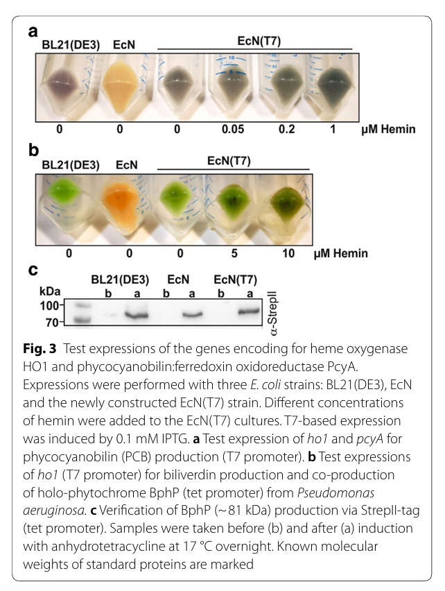 171754880470187687.png 111.png