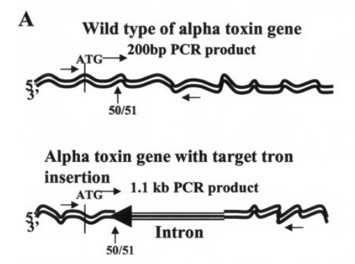 172259154243944652.png 图片2.png