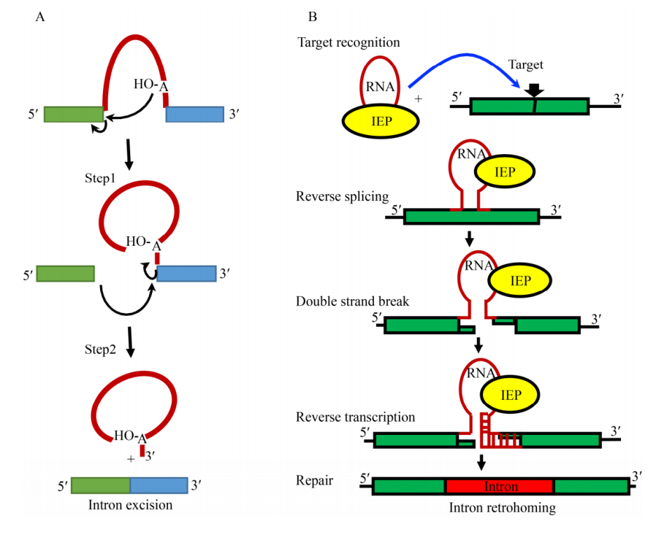 172283826798158565.png 图片4.png