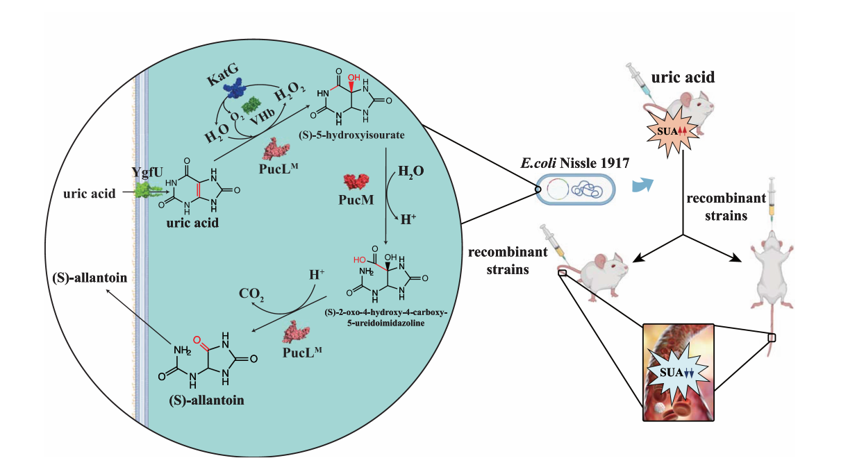 172283884781286336.png 图片8.png