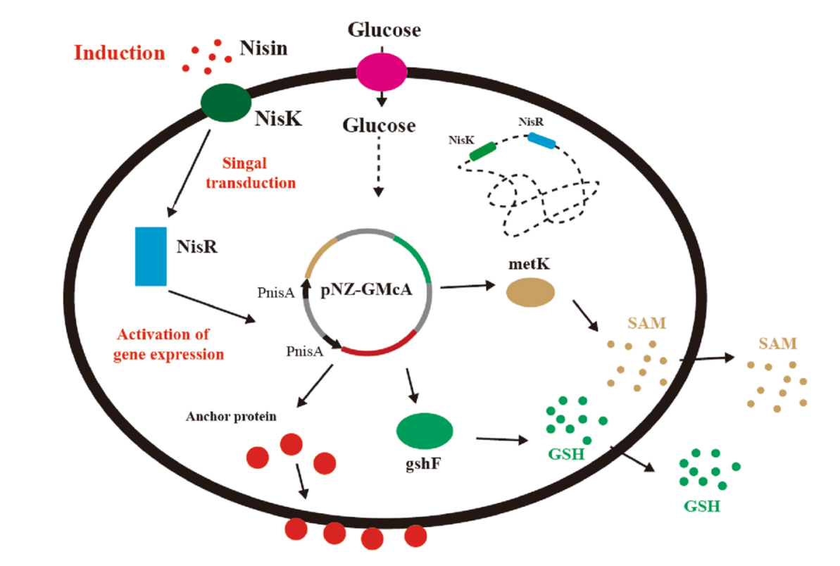 172283900812248933.png 图片9.png