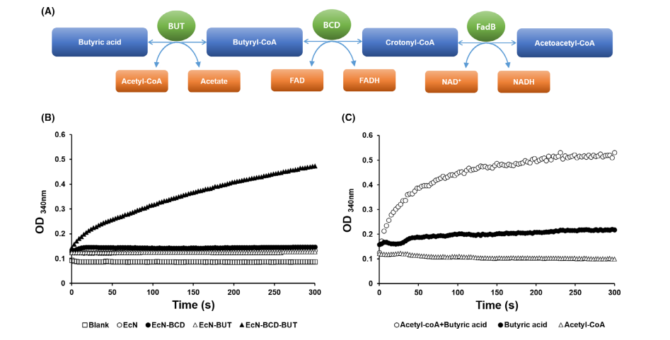 172283909547159414.png 图片10.png