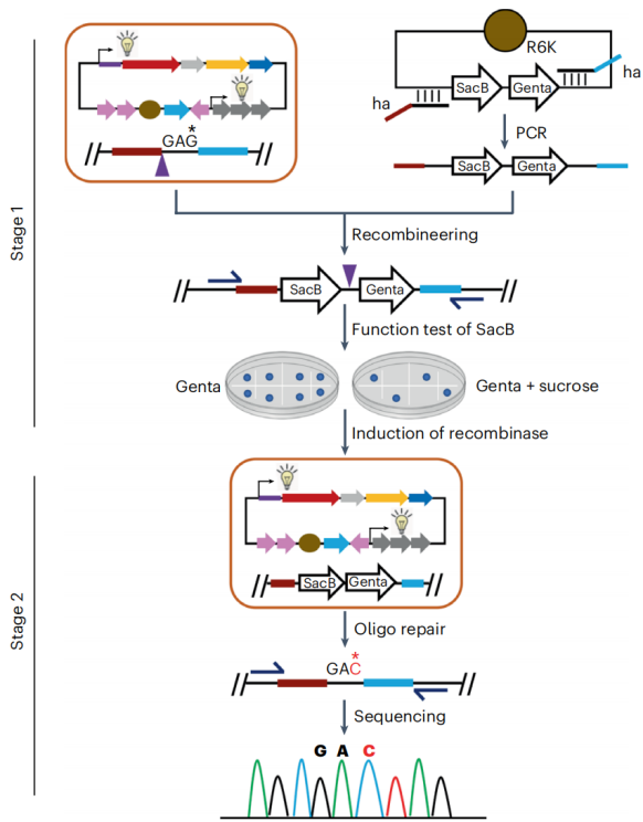 172283917260211554.png 图片11.png