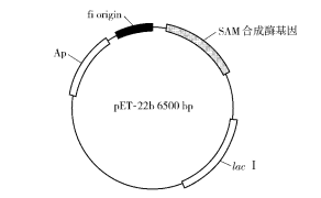 172283952291115555.png 图片15.png