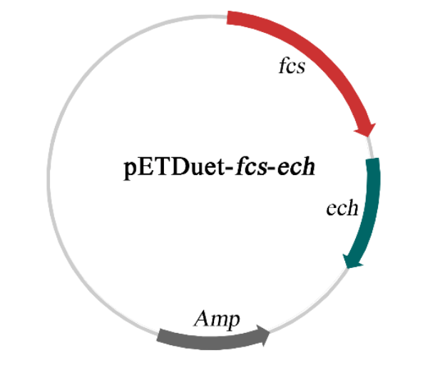 172283975156995799.png 图片17.png