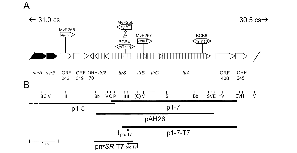 172284005524106285.png 图片20.png