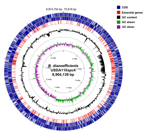 172310305952980127.png image.png