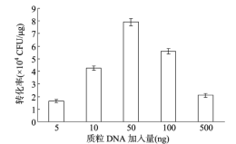 172371181199765154.png image.png