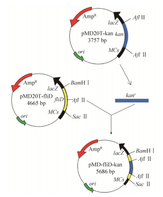 172371307370980755.png image.png