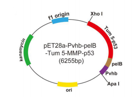 172371394496826519.png image.png