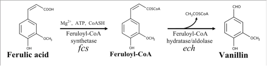 172371398821814479.png image.png