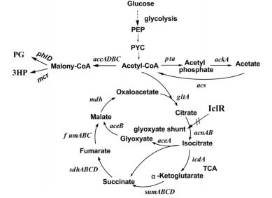 172481508861649404.png image.png