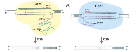 172482473434245249.png image.png