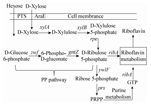 172482918521648099.png image.png