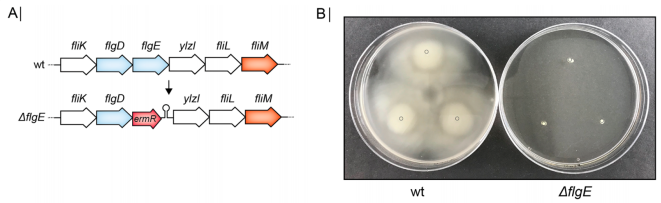 172550202230343273.png image.png