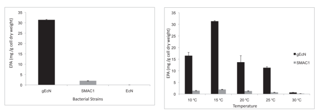 172550253578021613.png image.png