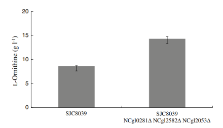 172550272596191440.png image.png