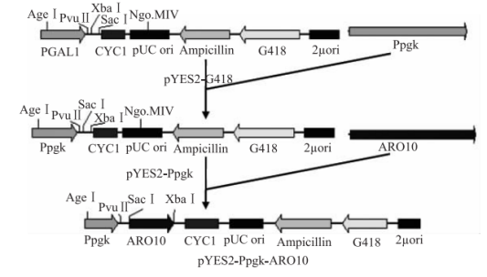 172550372713020127.png image.png