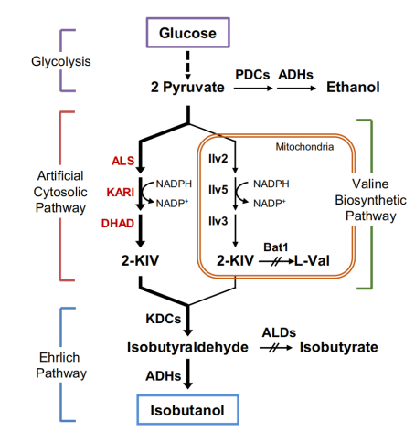 172550381465772733.png image.png