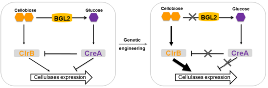 172550444466797433.png image.png