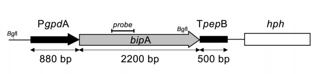 172630500342937027.png image.png