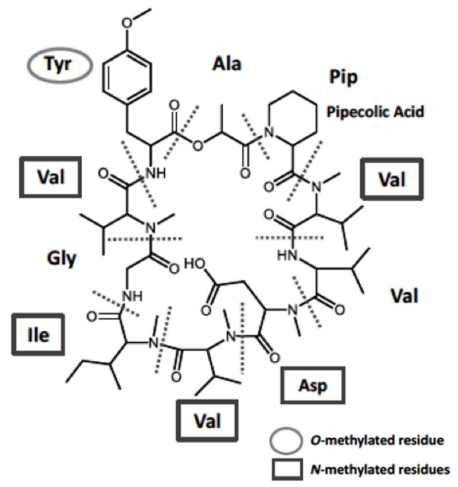 172630520618554534.png image.png