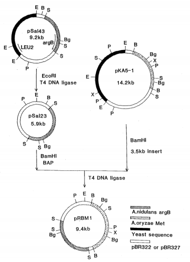 172630524417554429.png image.png