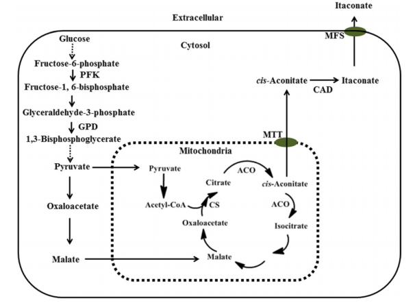 172630559373873707.png image.png