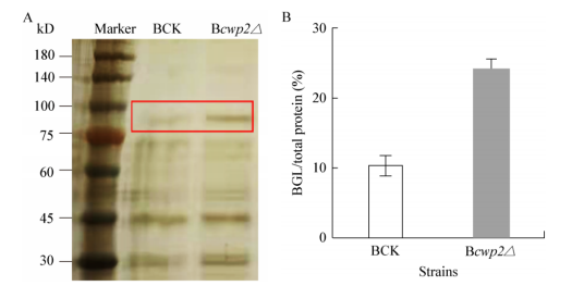 172630574450513019.png image.png