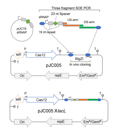 172630596134308628.png image.png