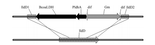 172630642244850046.png image.png