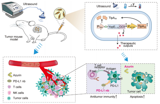 172742151610113443.png image.png