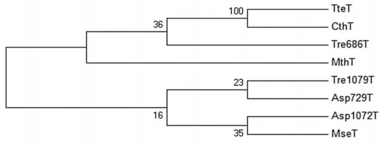 172742268777387847.png image.png