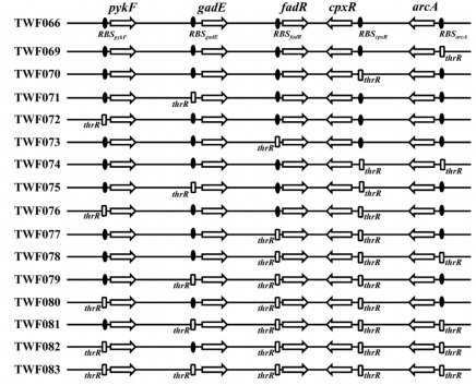 172742567694021510.png image.png