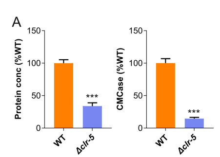 172742622735749689.png image.png