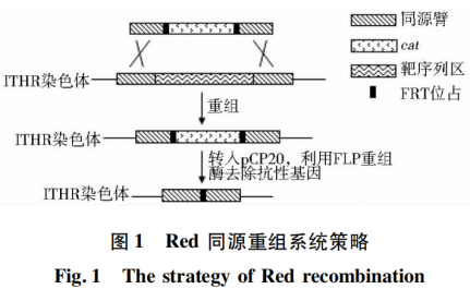 172742686516192573.png image.png