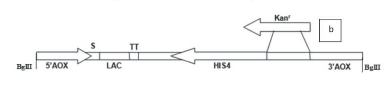 172904831386128450.png 图片1.png