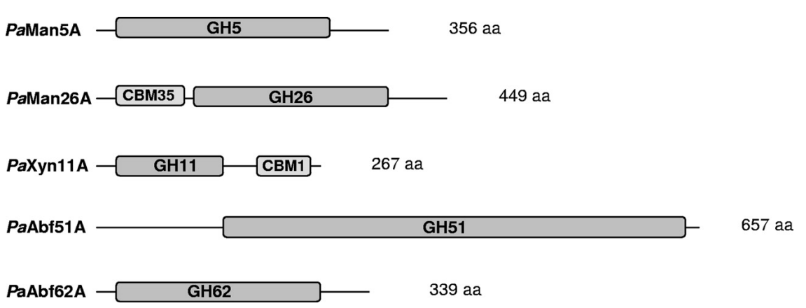 172904883768254624.png 图片2.png