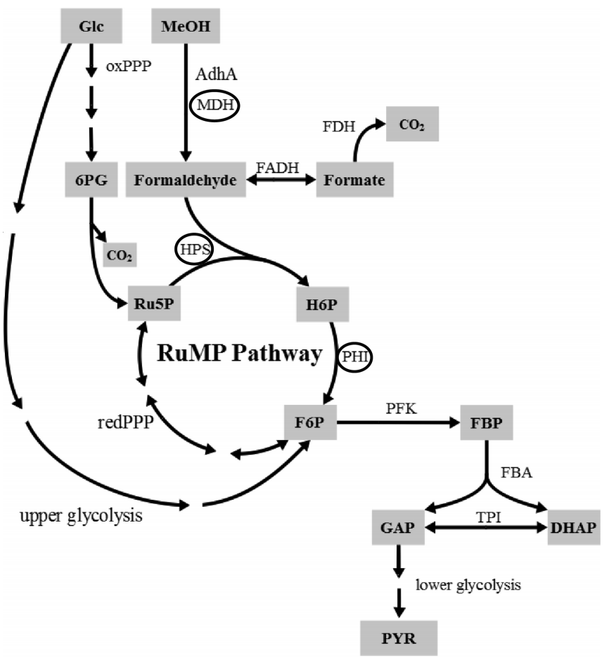 172906047270575202.png 图片7.png