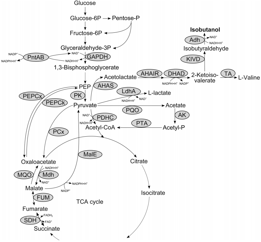 172906062287720517.png 图片8.png