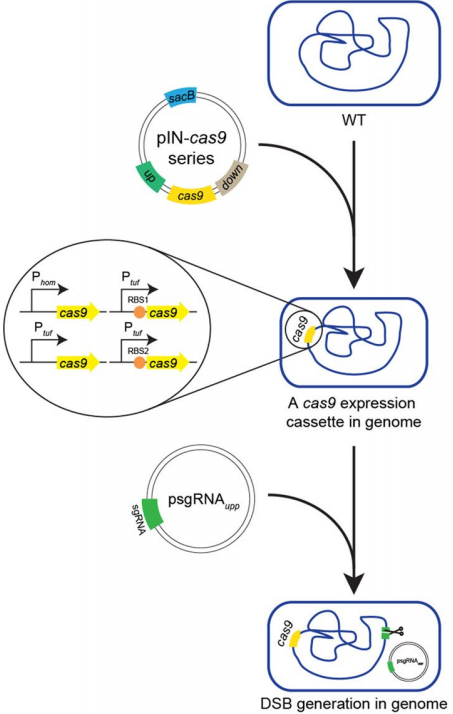 172906617592917117.png 图片11.png