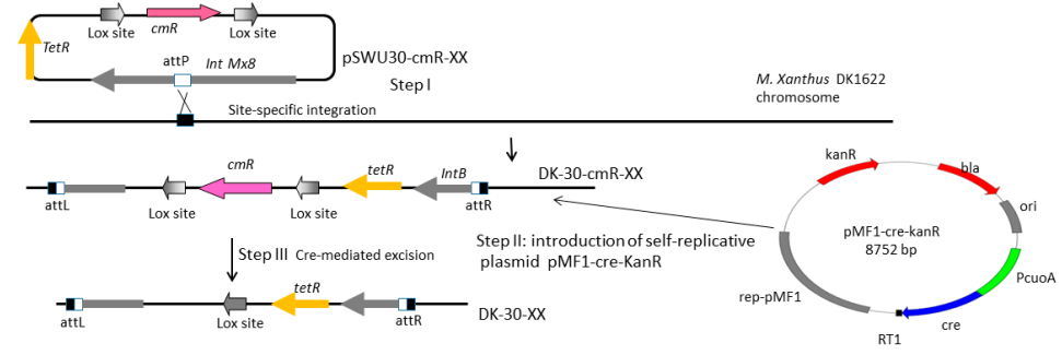 172906631173867086.png 图片12.png