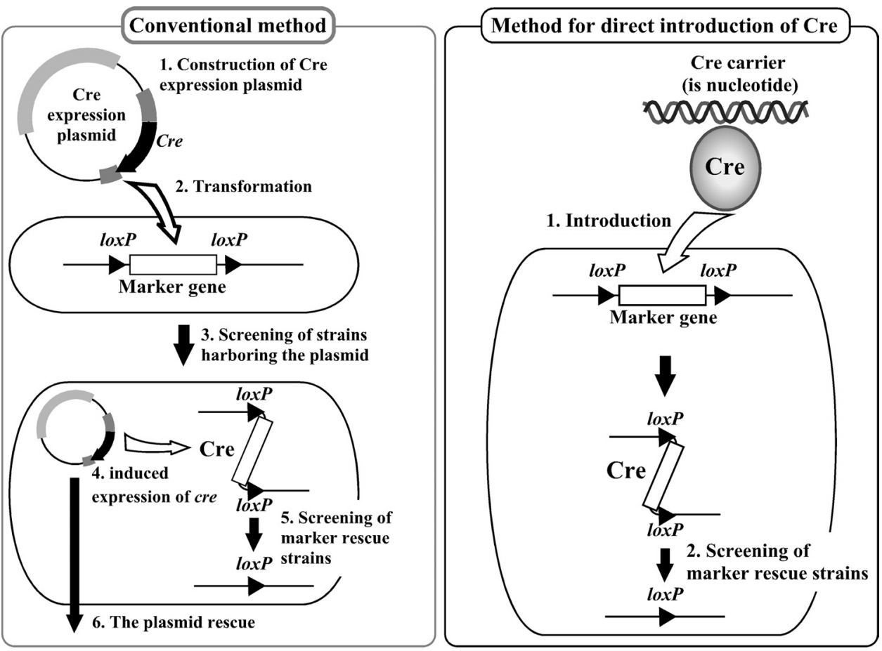 172906642510513125.png 图片13.png