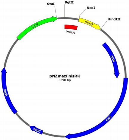 172906671548797671.png 图片15.png