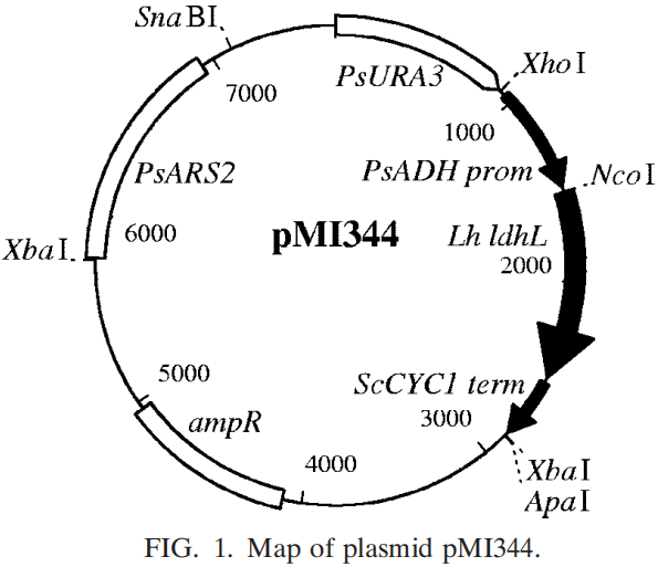 172906742586719261.png 图片19.png