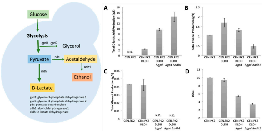 172906805685810670.png 图片22.png