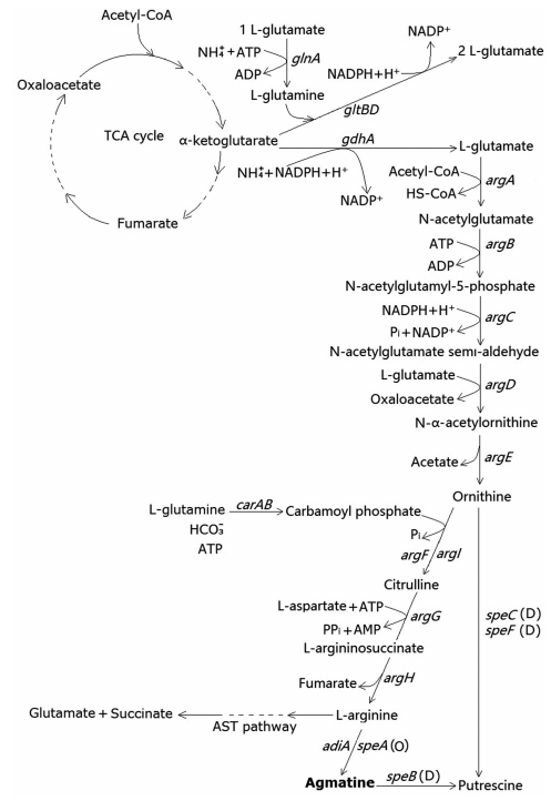 172906810041076753.png 图片23.png