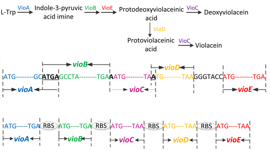 172906863811608286.png 图片28.png