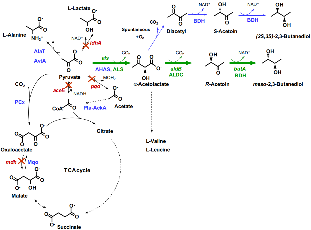 172906873559873546.png 图片29.png